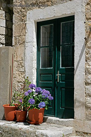 Door and Flowers (1)