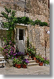 images/Europe/Croatia/Dubrovnik/DoorsWins/door-n-flowers-2.jpg