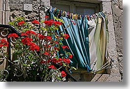 images/Europe/Croatia/Dubrovnik/Flowers/laundry-n-roses-1.jpg