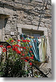 images/Europe/Croatia/Dubrovnik/Flowers/laundry-n-roses-2.jpg