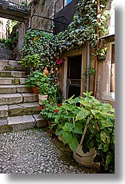 images/Europe/Croatia/Dubrovnik/Flowers/plants-on-steps-1.jpg