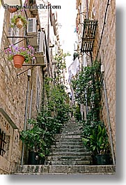 images/Europe/Croatia/Dubrovnik/Flowers/plants-on-steps-2.jpg