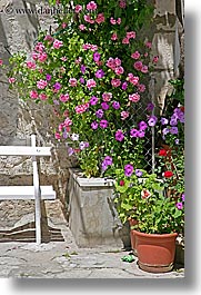 images/Europe/Croatia/Dubrovnik/Flowers/potted-flowers.jpg