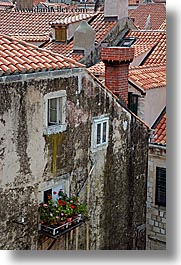 images/Europe/Croatia/Dubrovnik/Flowers/window-flowers-1.jpg