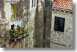 images/Europe/Croatia/Dubrovnik/Flowers/window-flowers-2.jpg