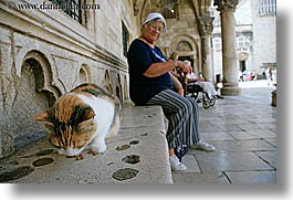images/Europe/Croatia/Dubrovnik/Misc/cat-eating-w-woman-2.jpg