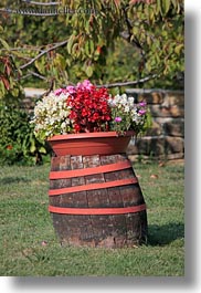images/Europe/Croatia/Groznjan/barrel-of-flowers.jpg