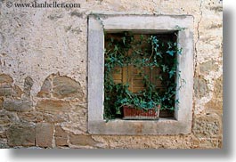 images/Europe/Croatia/Groznjan/green-plants-n-stone-wall-5.jpg