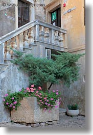 images/Europe/Croatia/Groznjan/stairs-n-flowers-1.jpg