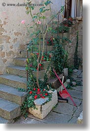 images/Europe/Croatia/Groznjan/stairs-n-flowers-2.jpg