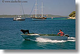 images/Europe/Croatia/Hvar/Boats/man-n-dog-speedboat.jpg