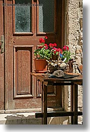 images/Europe/Croatia/Hvar/Misc/door-n-flowers.jpg