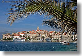 images/Europe/Croatia/Korcula/Cityscape/korcula-palm_tree-cityview-4.jpg