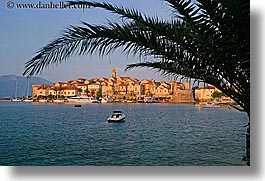 images/Europe/Croatia/Korcula/Cityscape/korcula-palm_tree-cityview-5.jpg