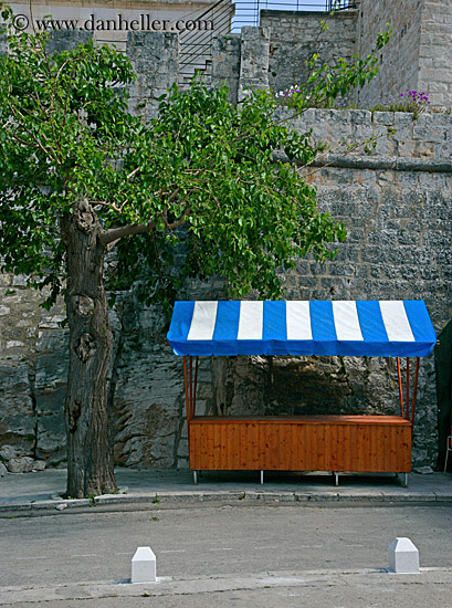 blue-striped-awning-n-tree.jpg