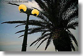 images/Europe/Croatia/Korcula/Misc/lamp_post-n-palm_tree.jpg