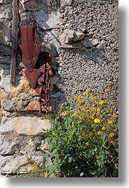 images/Europe/Croatia/Lubenice/flowers-n-wall.jpg