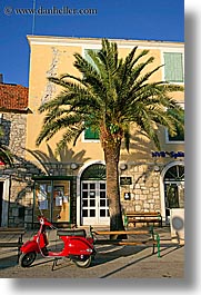 images/Europe/Croatia/Milna/Misc/red-scooter-n-palm_tree.jpg