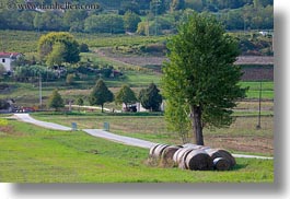 images/Europe/Croatia/Motovun/Scenics/hay-bales-n-tree-1.jpg