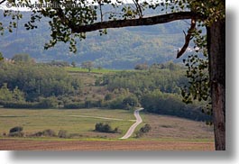 images/Europe/Croatia/Motovun/Scenics/tree-branch-n-road-landscape.jpg