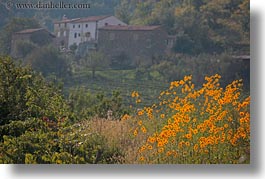 images/Europe/Croatia/Motovun/Scenics/yellow-marigolds-n-house.jpg