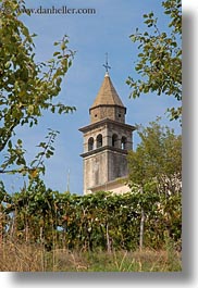 images/Europe/Croatia/Motovun/Town/bell_tower-n-trees-2.jpg