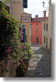 images/Europe/Croatia/Motovun/Town/flowers-n-cobblestone-road.jpg