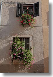 images/Europe/Croatia/Motovun/Town/iron-gate-window-w-flower-1.jpg