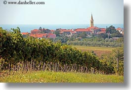 images/Europe/Croatia/Porec/church-bell_tower-n-vineyards.jpg