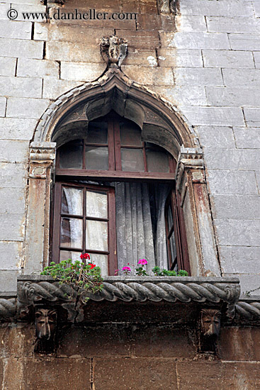 gothic-windows-n-flowers-2.jpg
