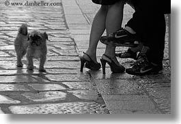 black and white, cobblestones, couples, croatia, dogs, europe, feet, horizontal, marble, materials, men, people, porec, sexy, small, stones, womens, photograph
