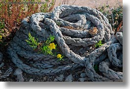 images/Europe/Croatia/PuntaKriza/flower-n-rope.jpg