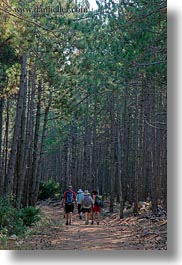 images/Europe/Croatia/Rab/Hiking/hiking-in-pine-forest-01.jpg