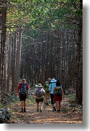 images/Europe/Croatia/Rab/Hiking/hiking-in-pine-forest-02.jpg