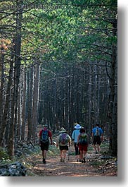 images/Europe/Croatia/Rab/Hiking/hiking-in-pine-forest-03.jpg