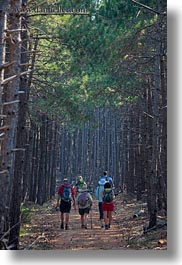 images/Europe/Croatia/Rab/Hiking/hiking-in-pine-forest-04.jpg