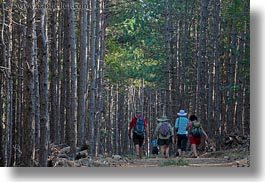 images/Europe/Croatia/Rab/Hiking/hiking-in-pine-forest-06.jpg