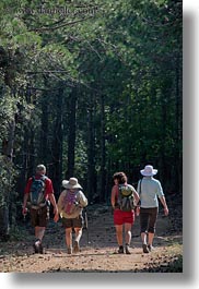 images/Europe/Croatia/Rab/Hiking/hiking-in-pine-forest-07.jpg