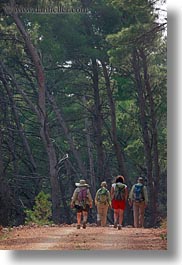 images/Europe/Croatia/Rab/Hiking/hiking-in-pine-forest-09.jpg