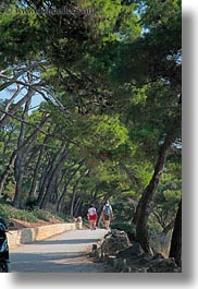 images/Europe/Croatia/Rab/Hiking/tree-lined-path.jpg