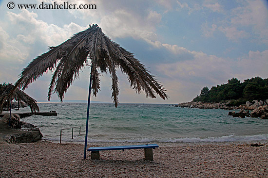 palm_tree-umbrella-by-waves.jpg
