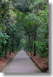 images/Europe/Croatia/Rab/trees-n-long-walkway.jpg