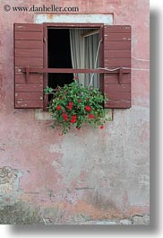 images/Europe/Croatia/Rovinj/Misc/hanging-plant-from-window-1.jpg