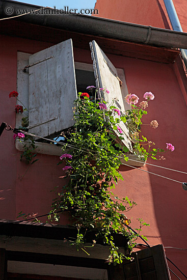 hanging-plant-from-window-2.jpg