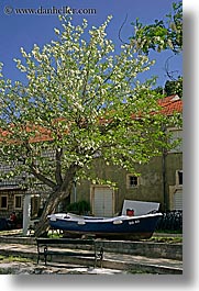 images/Europe/Croatia/Sipan/Boats/boat-under-flowering-tree.jpg