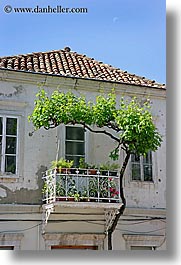 images/Europe/Croatia/Sipan/DoorsWindows/tree-in-flowered-balcony.jpg