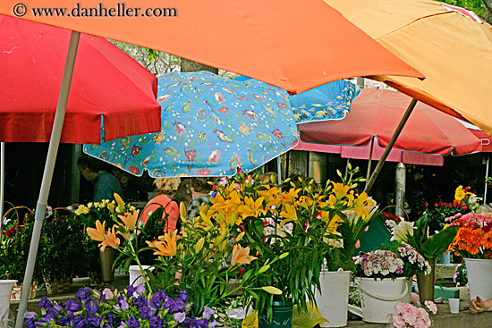 flowers-n-umbrellas.jpg