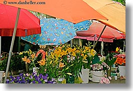 images/Europe/Croatia/Split/Market/flowers-n-umbrellas.jpg
