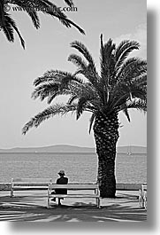 images/Europe/Croatia/Split/Misc/woman-bench-palm_tree-bw-1.jpg
