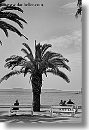 images/Europe/Croatia/Split/Misc/woman-bench-palm_tree-bw-2.jpg